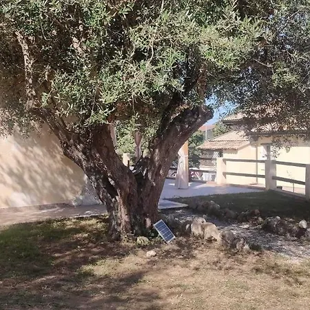 Bluiaia Vacanze Tropea * Caria